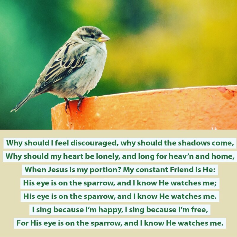 His Eye Is On the Sparrow
